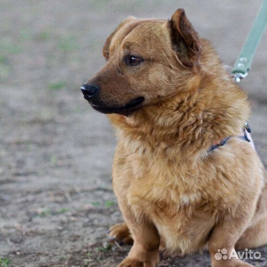 Портом ищет дом