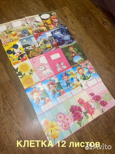 Тетрадь в клетку и в линейку 12 листов