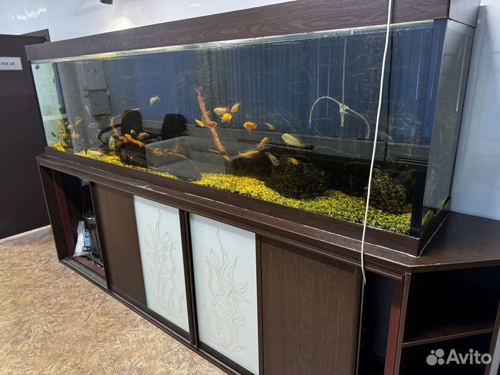 Аквариум 1250 литров, 3 метра