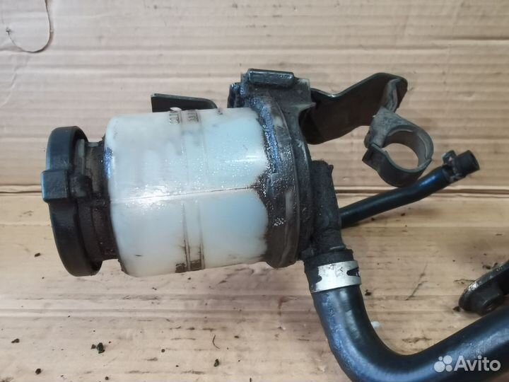 Бачек Гур Фав Вита