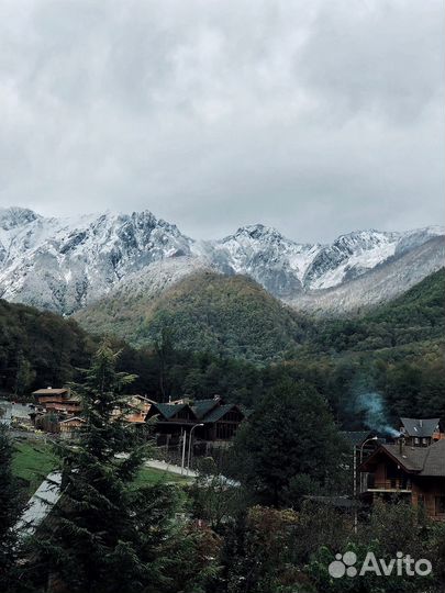 Доверительное управление недвижимостью