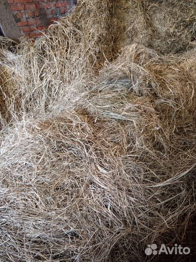Продам сено в рулонах