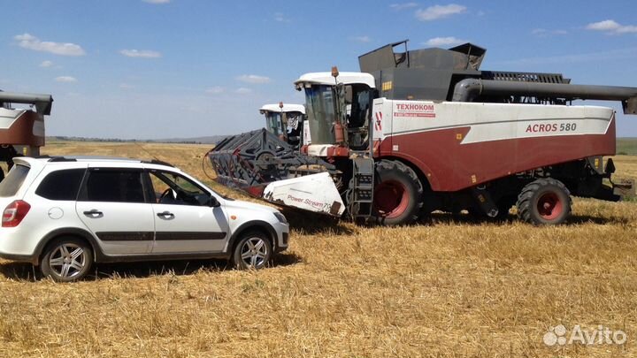 Услуги по уборке урожая 2024