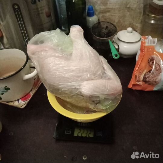 Мясо птицы,домашнее