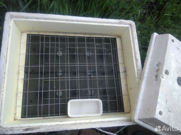 Инкубатор для яиц бу