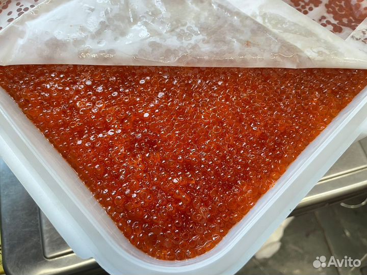 Красная икра Кеты