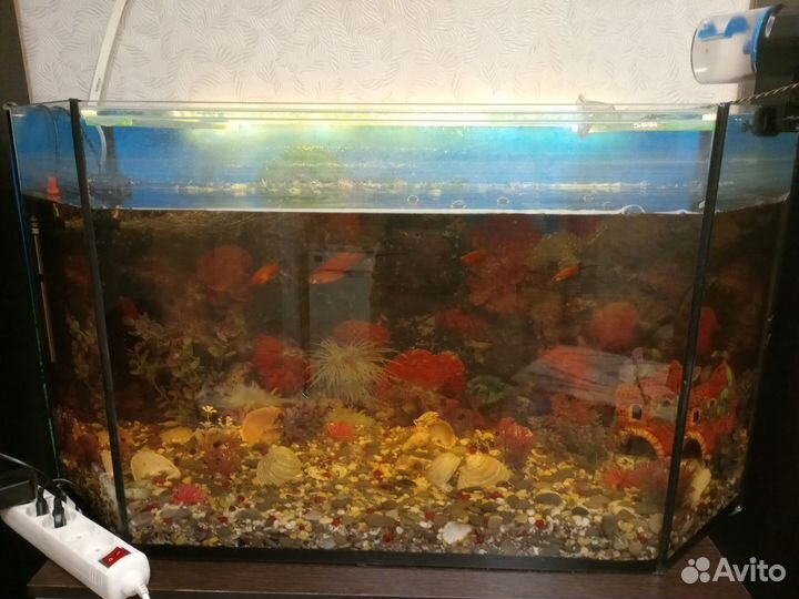 Аквариум