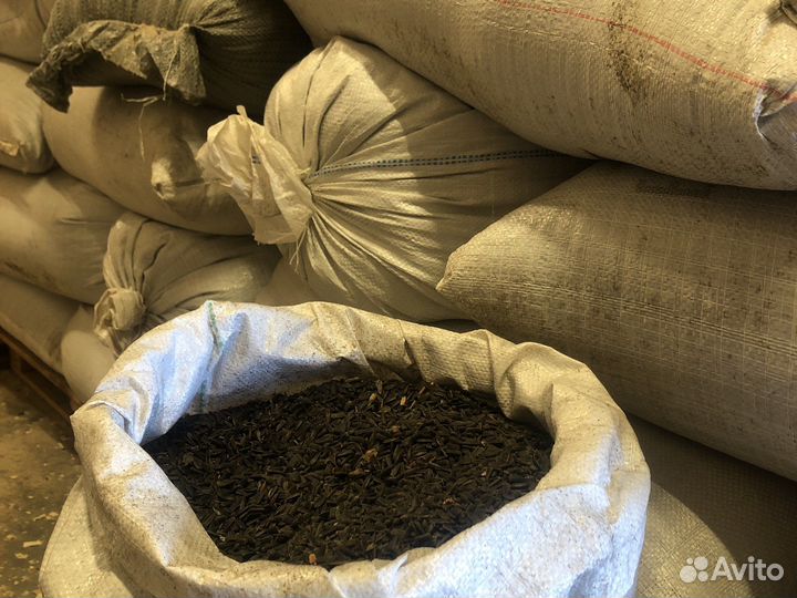 Семечка подсолнечника