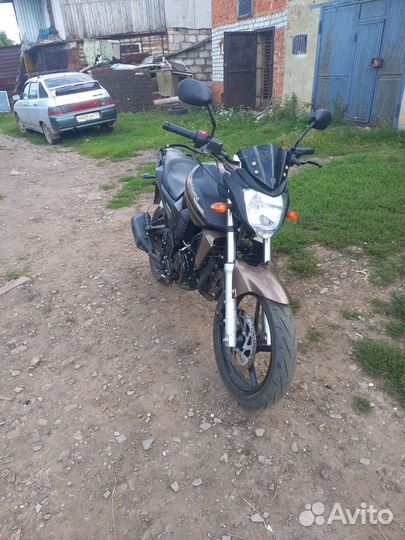 Motoland бандит