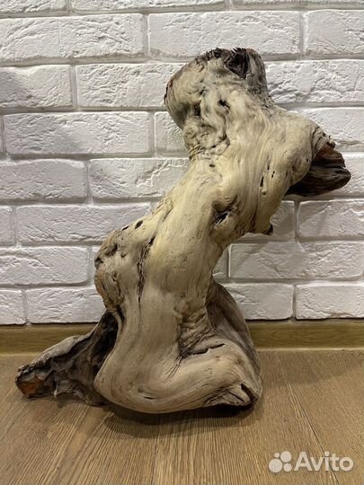 Дрифтвуд большая морская коряга