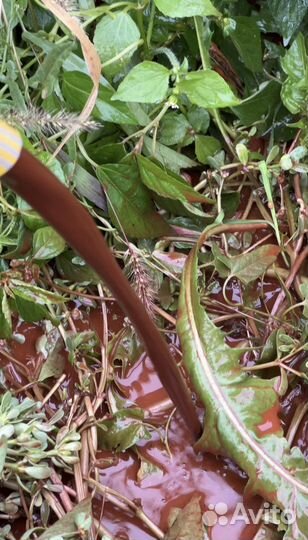 Промывка системы отопления и теплого пола