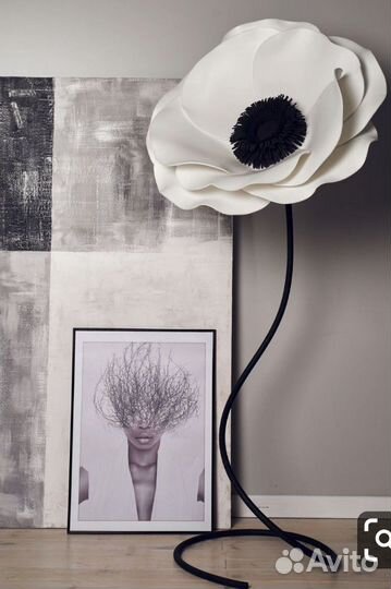 Большая анемона