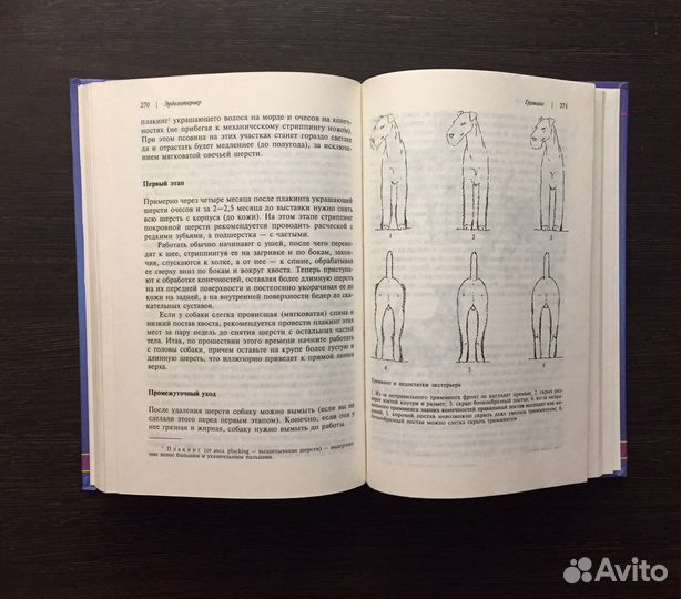 Книга Эрдельтерьер