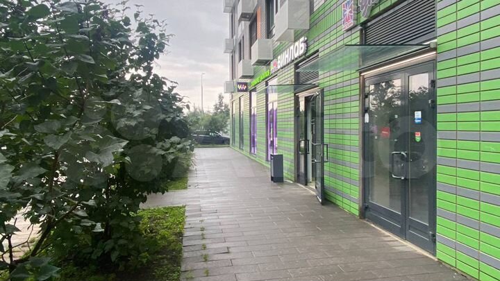 Ритейл на Александры Монаховой, 98