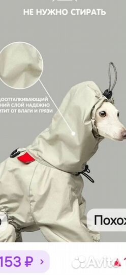 Комбинезон для собаки