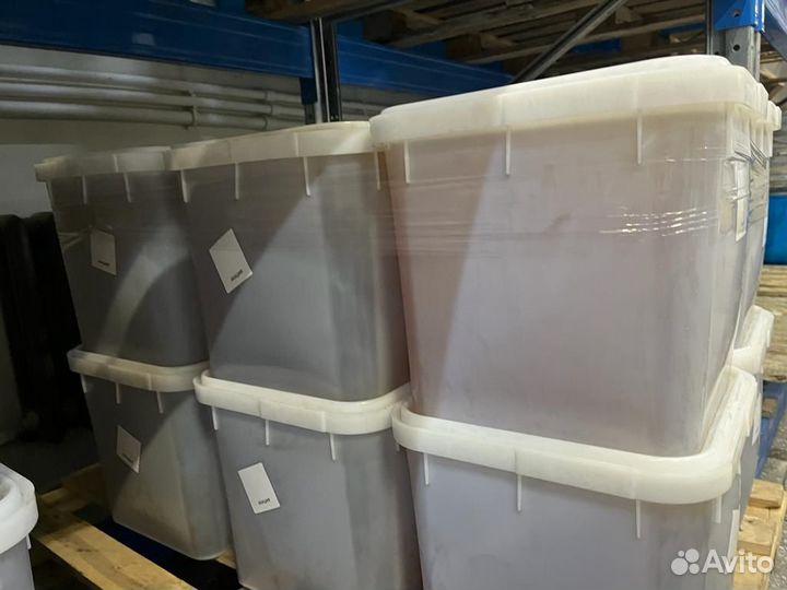 Гречишный свежий натуральный мёд Качка 2023г Оптом