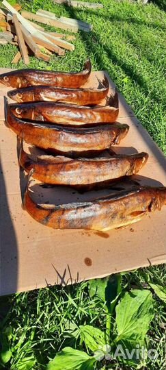 Рыба горячего копчения