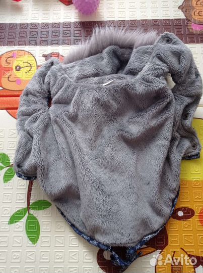 Одежда для маленьких собак