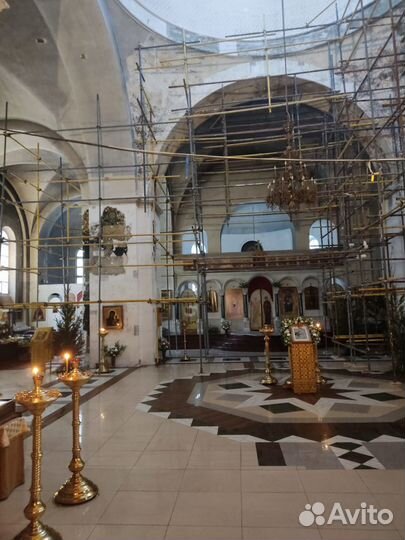 Хомутовые леса аренда