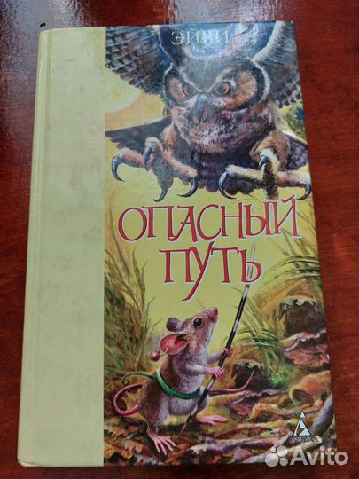 Опасный путь