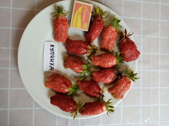 Клубника и земляника