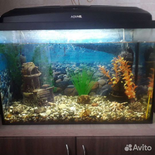 Аквариум