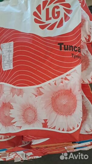 Семена подсолнечника Тунка