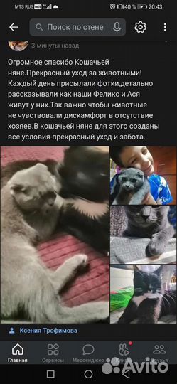 Мини - Зоогостиница.Передержка кошек и собак