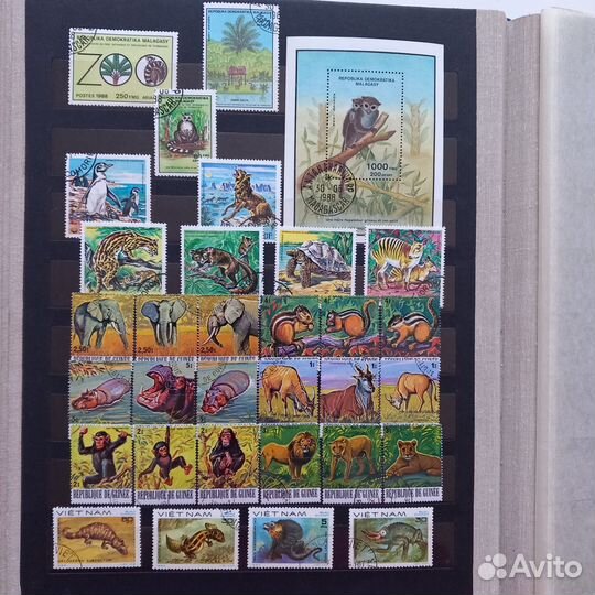 Почтовые марки животные, насекомые, бабочки