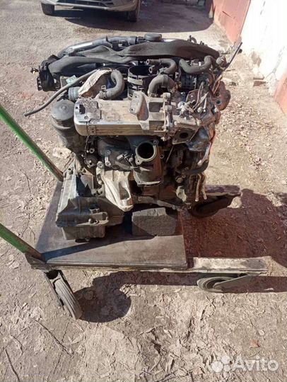 Двигатель Mercedes Sprinter W906 OM651.955 2.2 CDI