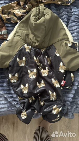 Одежда и принадлежности для щенка