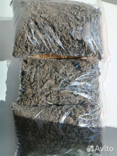 Прикормка для рыбалки