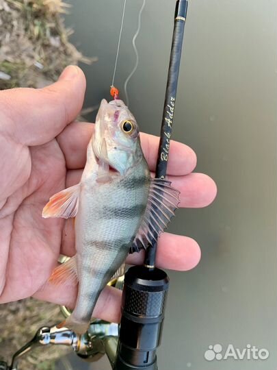 Мормышки для мормышинга