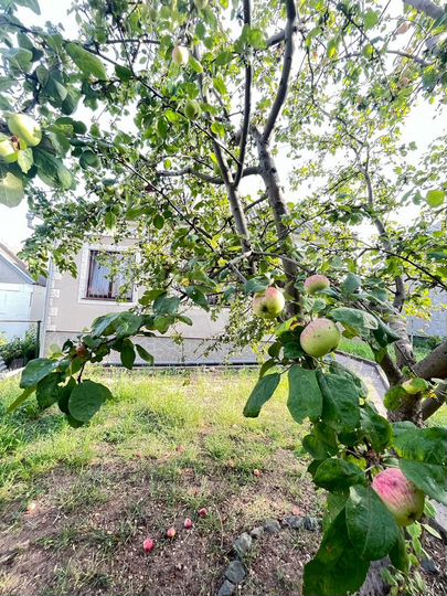 Дом 113 м² на участке 5,2 сот.