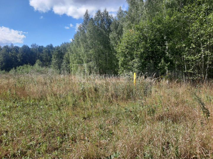 Участок 41 сот. (ИЖС)