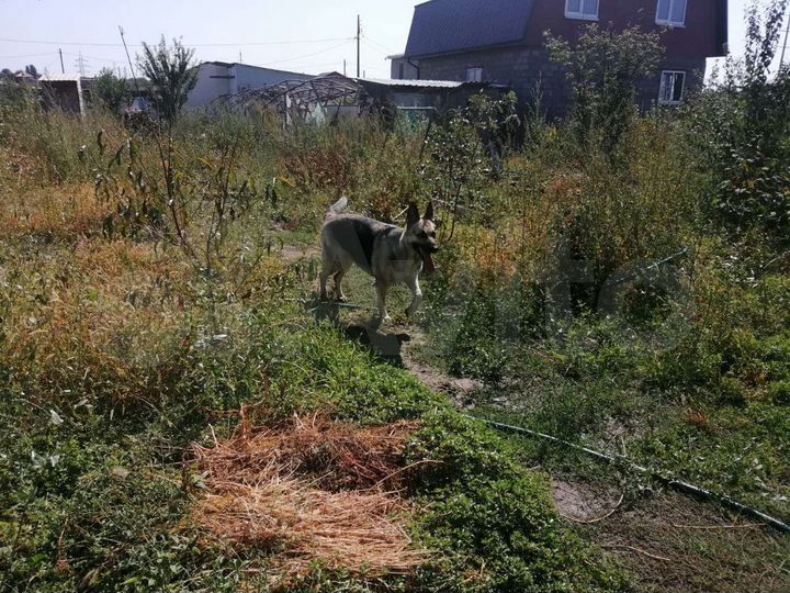 Участок 6 сот. (СНТ, ДНП)