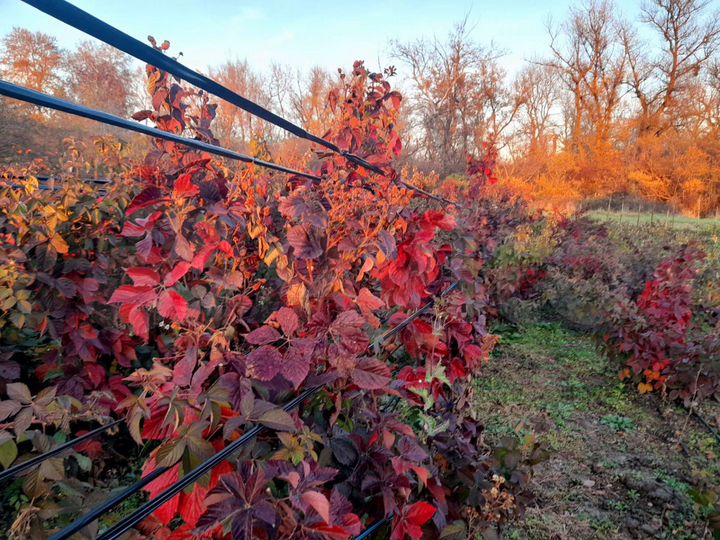 Дом 118 м² на участке 15 сот.