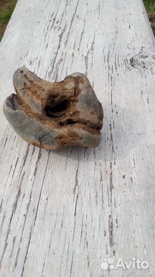 Окаменелости