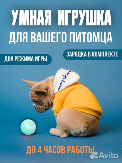 Игрушка для кошек и собак, интерактивный мячик