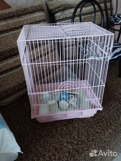 Клетка для попугая