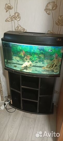 Аквариум