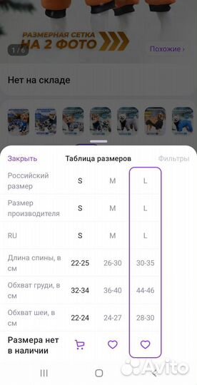 Одежда для средних собак