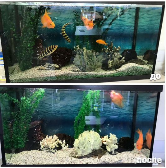 Обслуживание аквариума. Срочный выезд