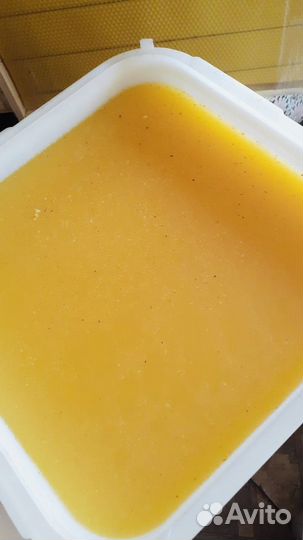 Подсолнечный мёд 2023 оптом