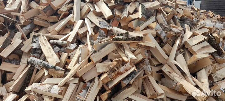Дрова береза
