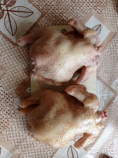 Продажа домашнего мяса бройлера. Д