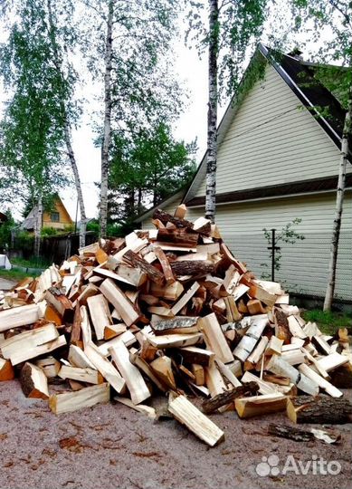 Дрова Осина навалом