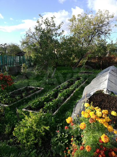 Участок 4,6 сот. (СНТ, ДНП)