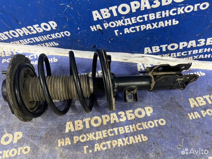 Передняя правая стойка амортизатора Nissan Teana