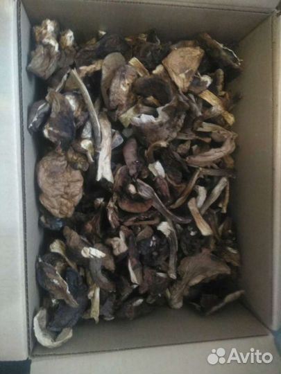 Сушеные грибы